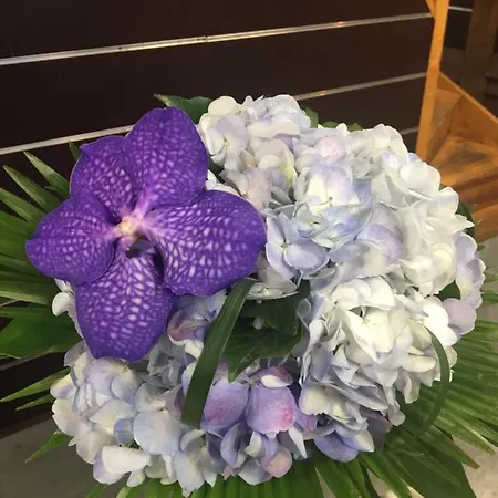 Bed & Breakfast La Grande Maison 3*